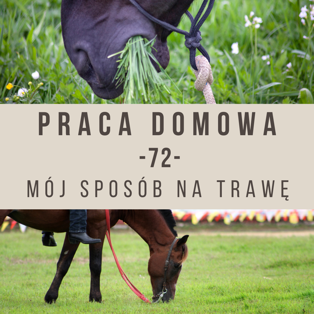 Praca domowa 71 Mój sposób na trawę