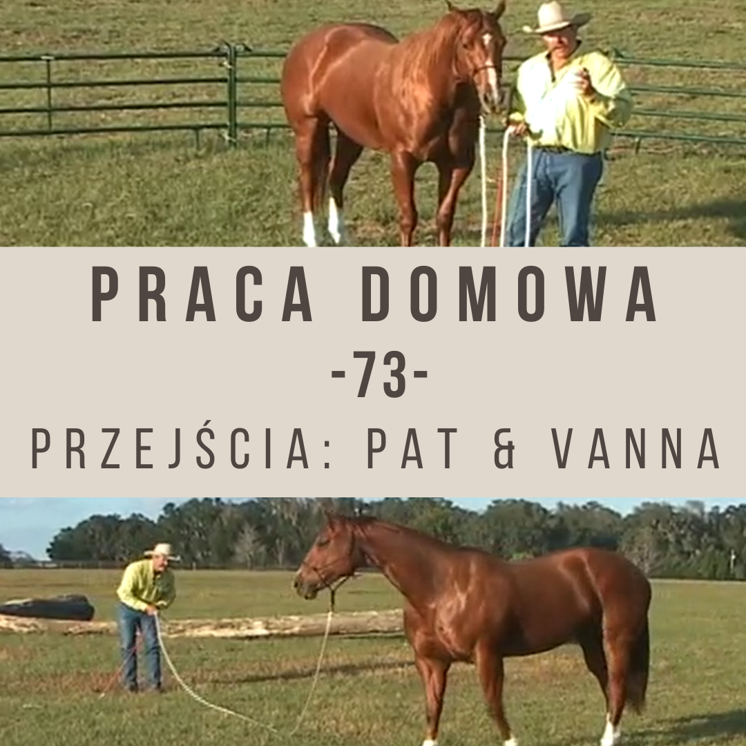 Praca domowa 73 Przejścia Pat & Vanna