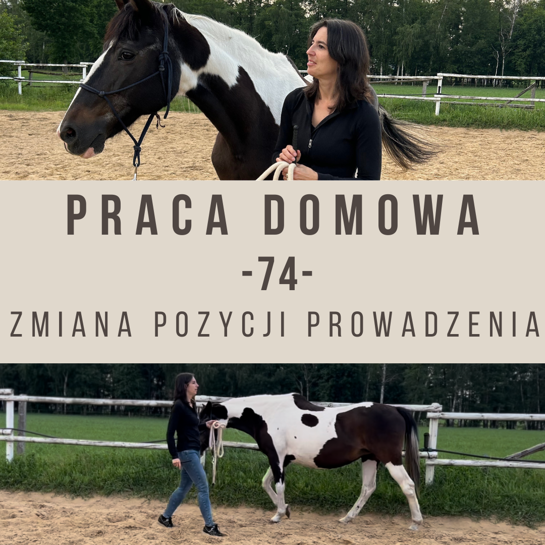Praca domowa 74 Zmiana pozycji prowadzenia
