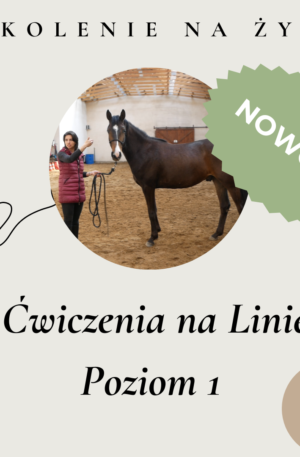 SZKOLENIE / LINA P1: Ćwiczenia na linie Poziom 1