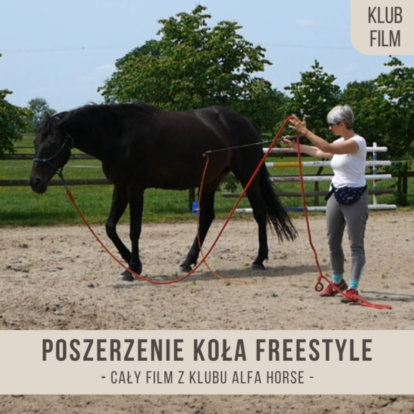 poszerzanie_kola_freestyle