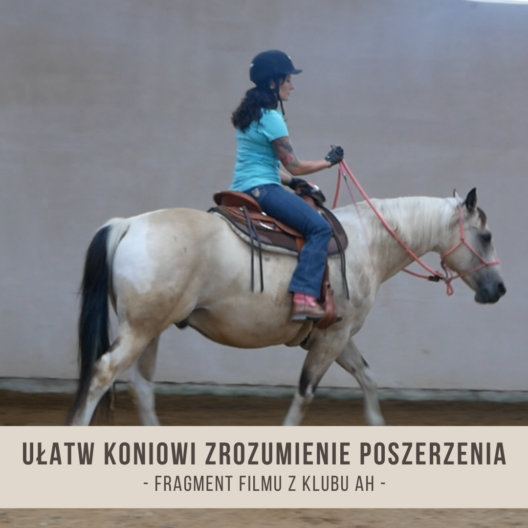 ulatw_koniowi_zrozumienie_poszerzenia