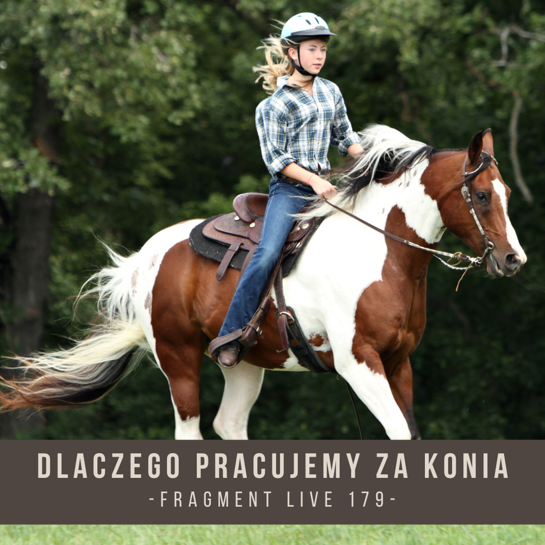 dlaczego_pracujemy_za_konia_fragment_live_179