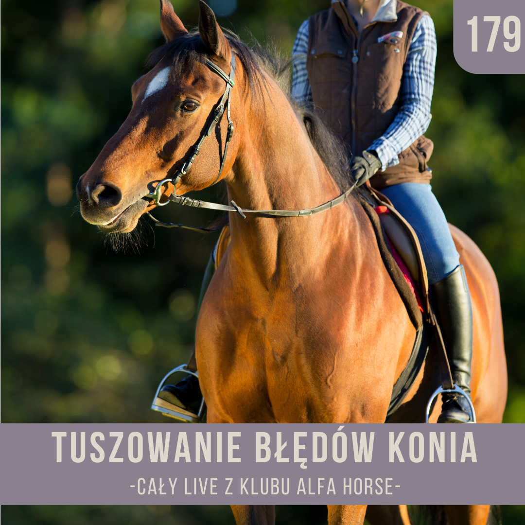 tuszowanie_bledow_konia_live_179