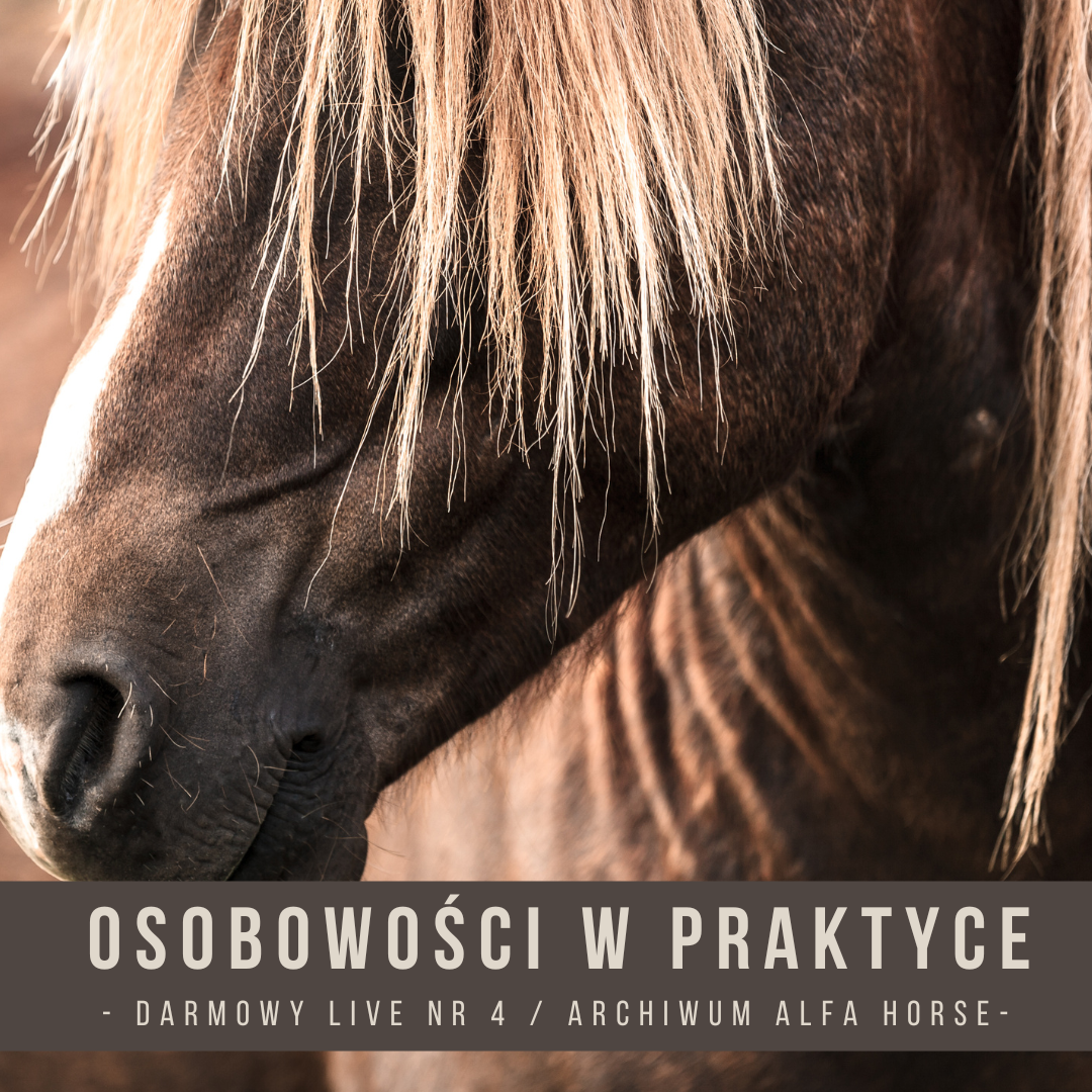 Osobowości w praktyce Live 4