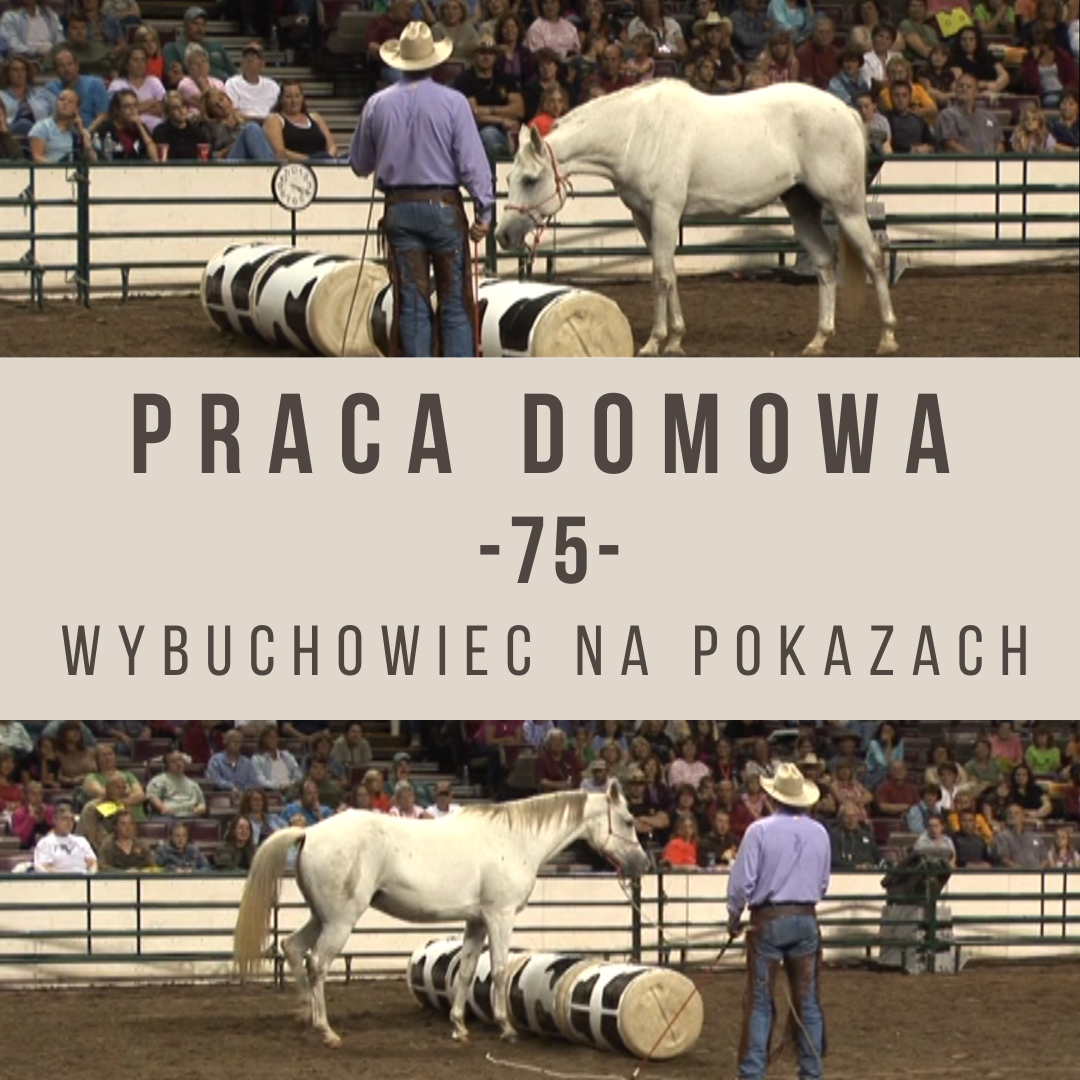 Praca domowa 75 Wybuchowiec na pokazach