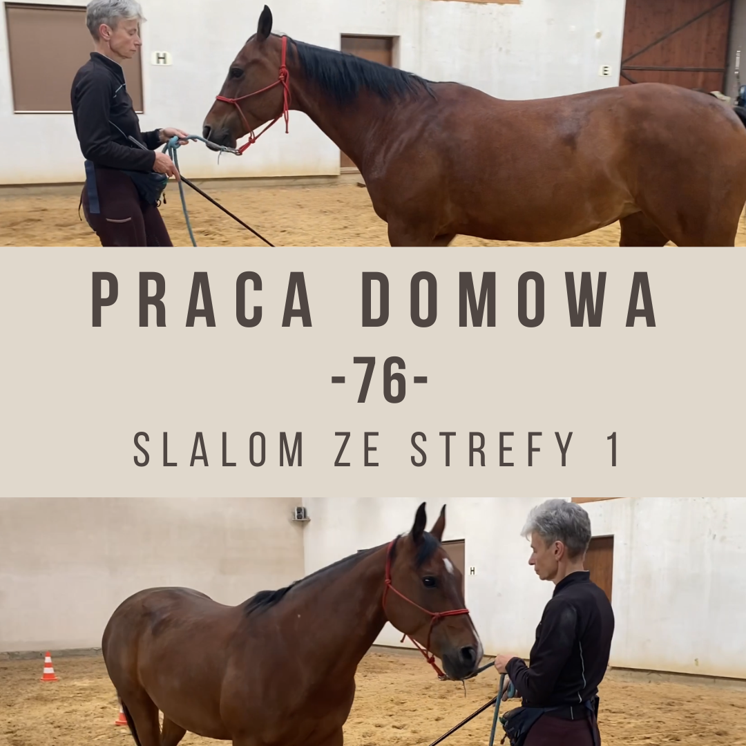 Praca_domowa_76_slalom_ze_strefy_1