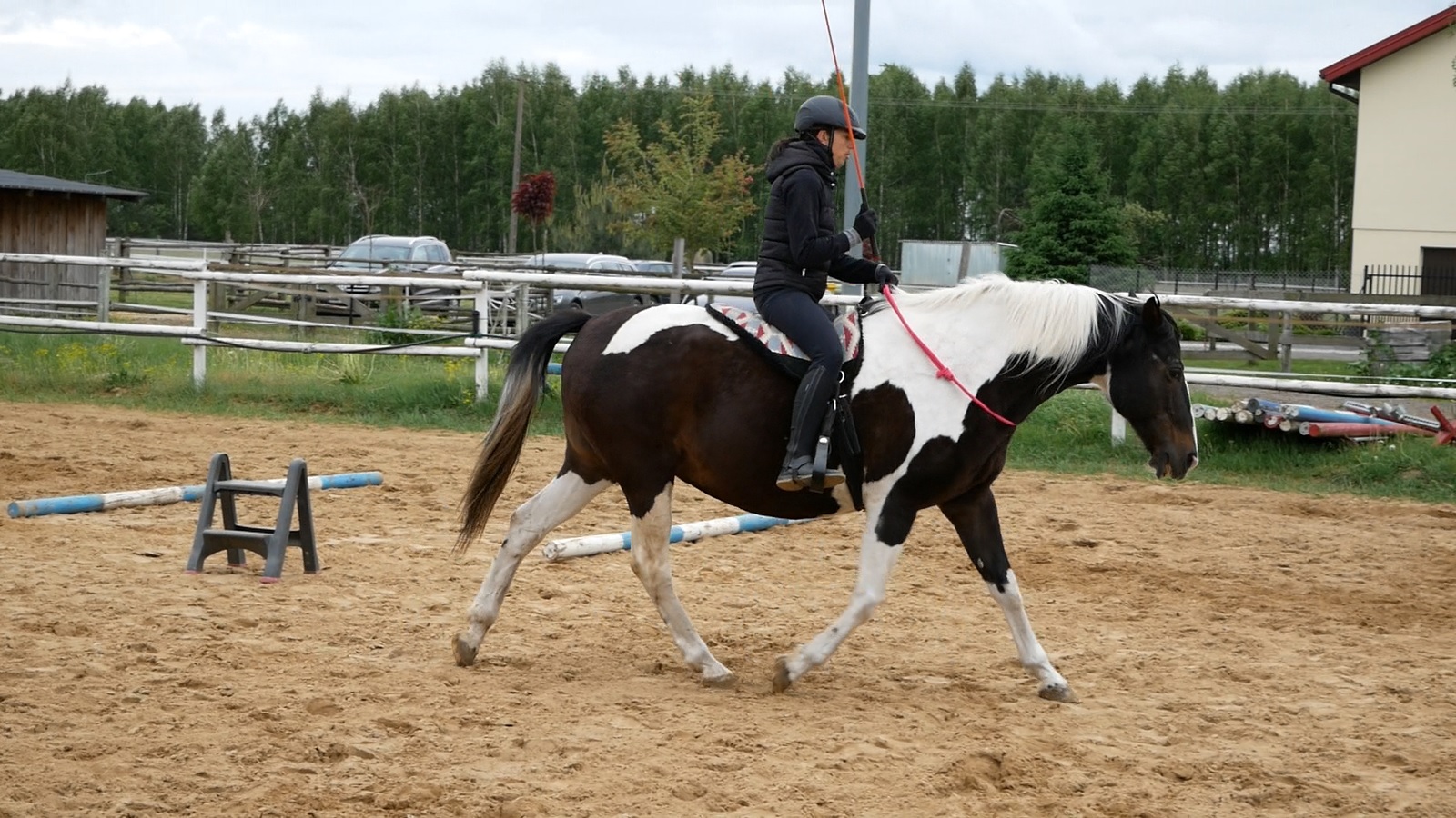 jazda_na_cordeo_alfa_horse