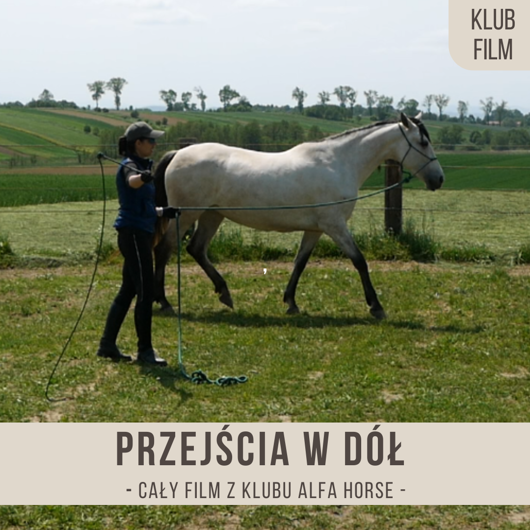 przejscia_w_dol_na_fale_bat_rownolegly_bat_180_stopni