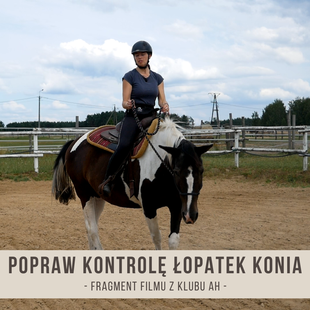 popraw_kontrole_lopatek_konia