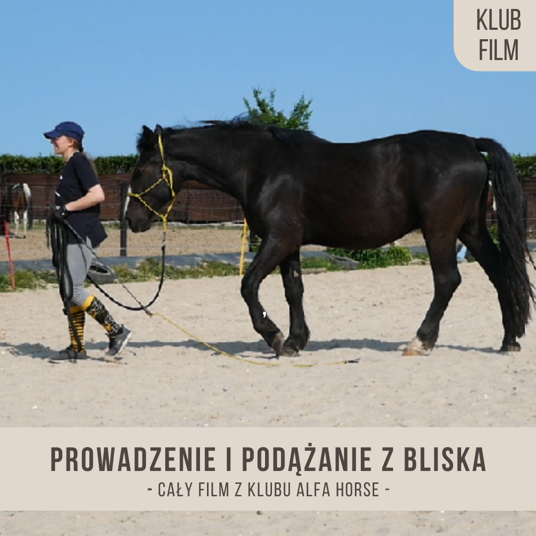 podazanie_i_prowadzenie_z_bliska