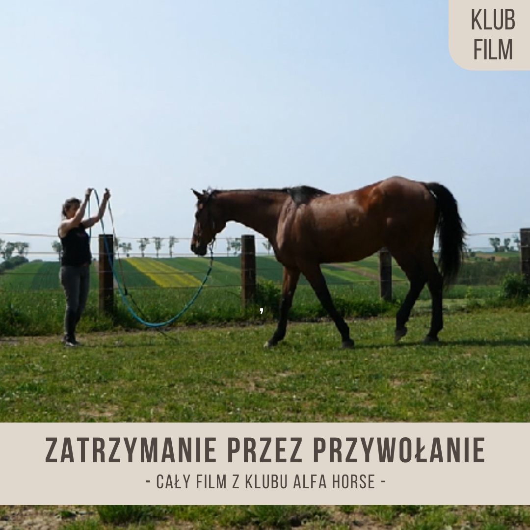 zatrzymanie_przez_przywolanie