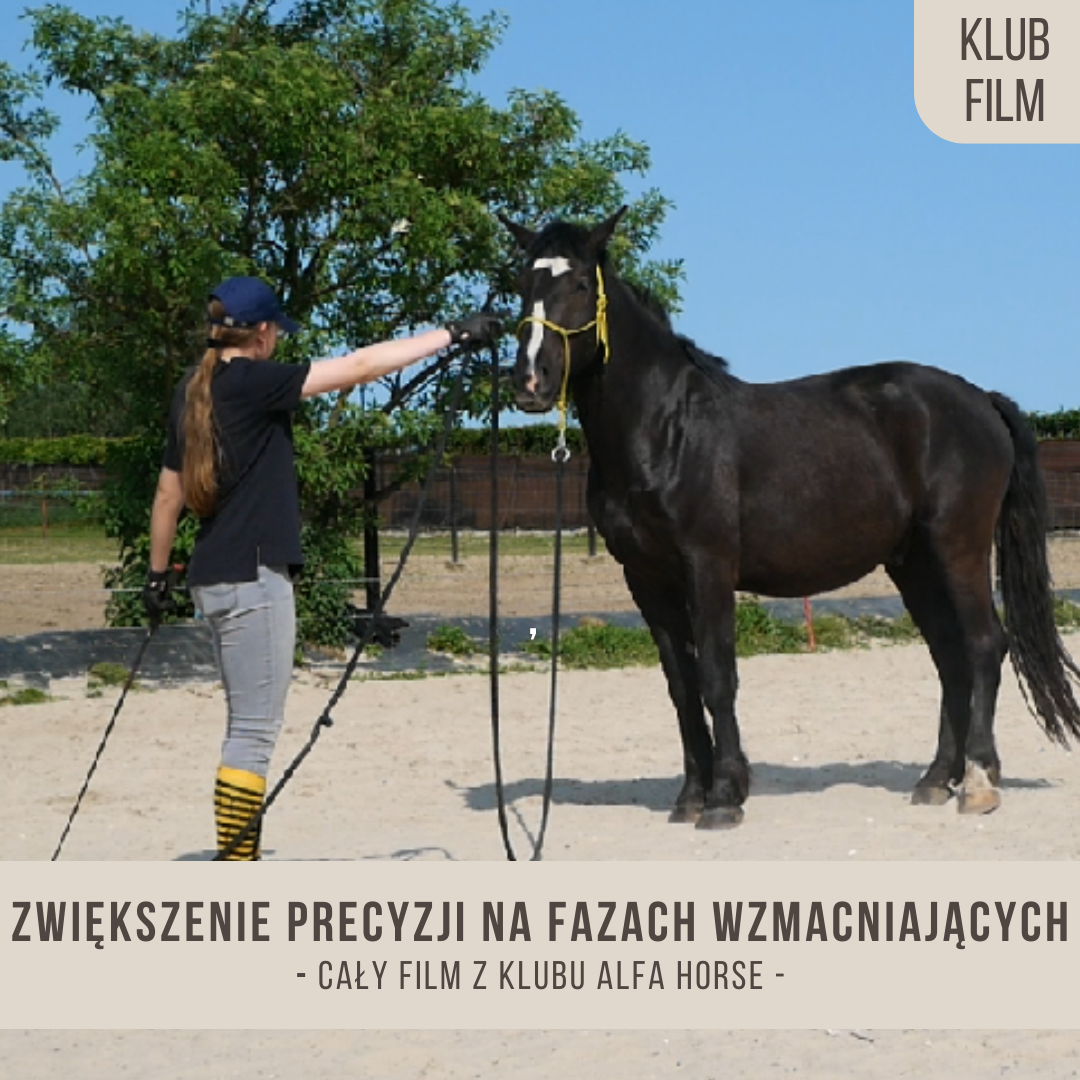 zwiekszenie_precyzji_na_fazach_wzmacniajacych