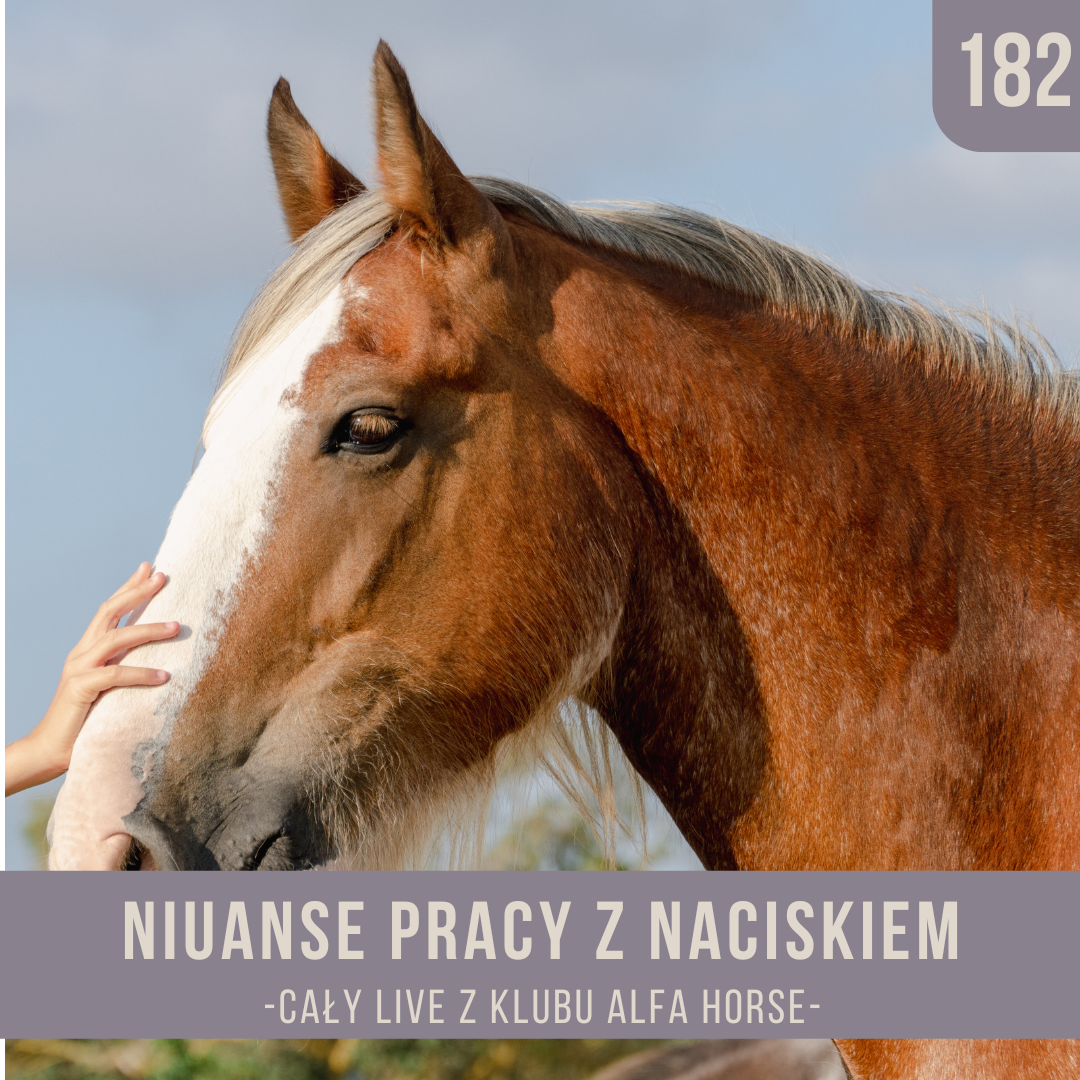 niuanse_pracy_z_naciskiem