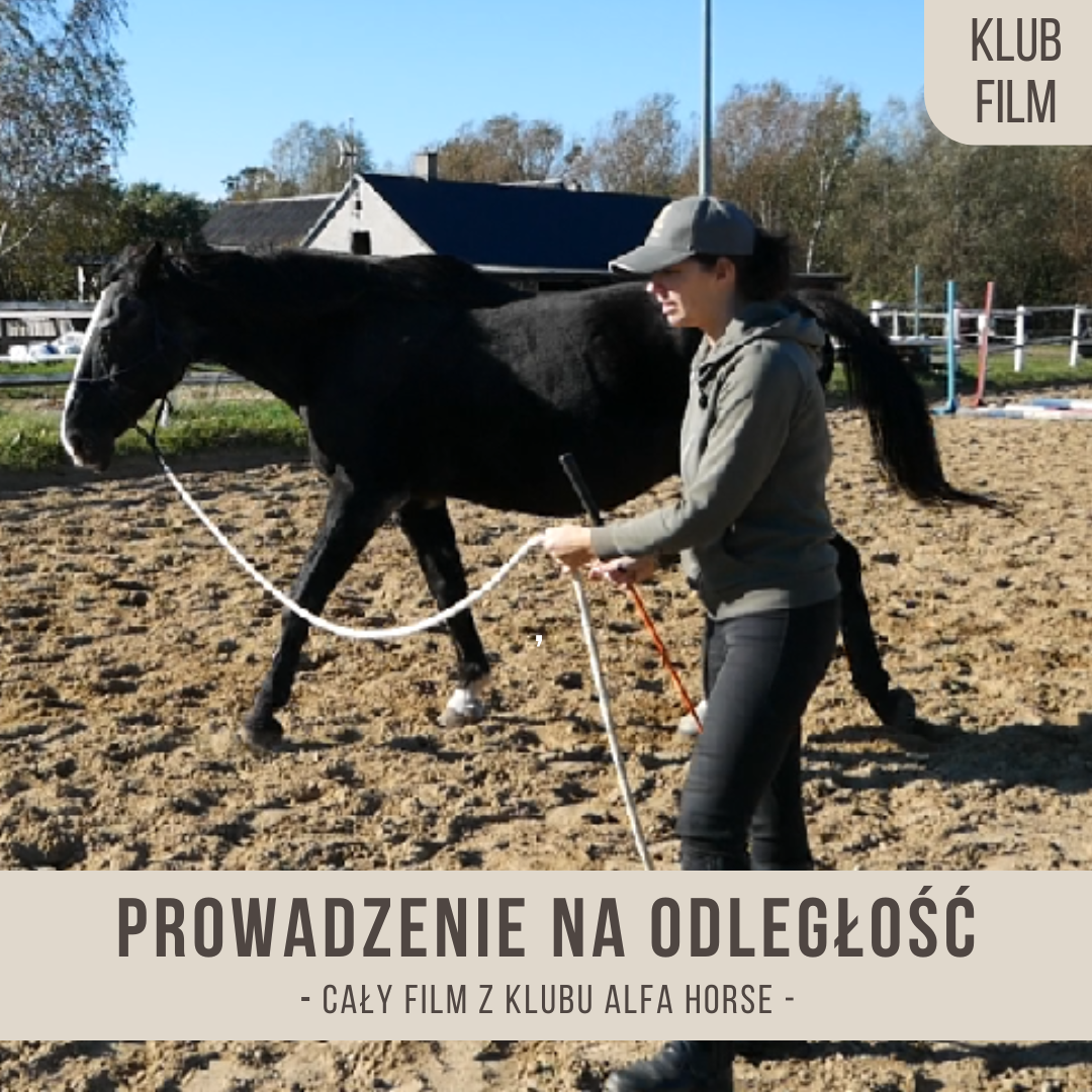 prowadzenie_na_odleglosc