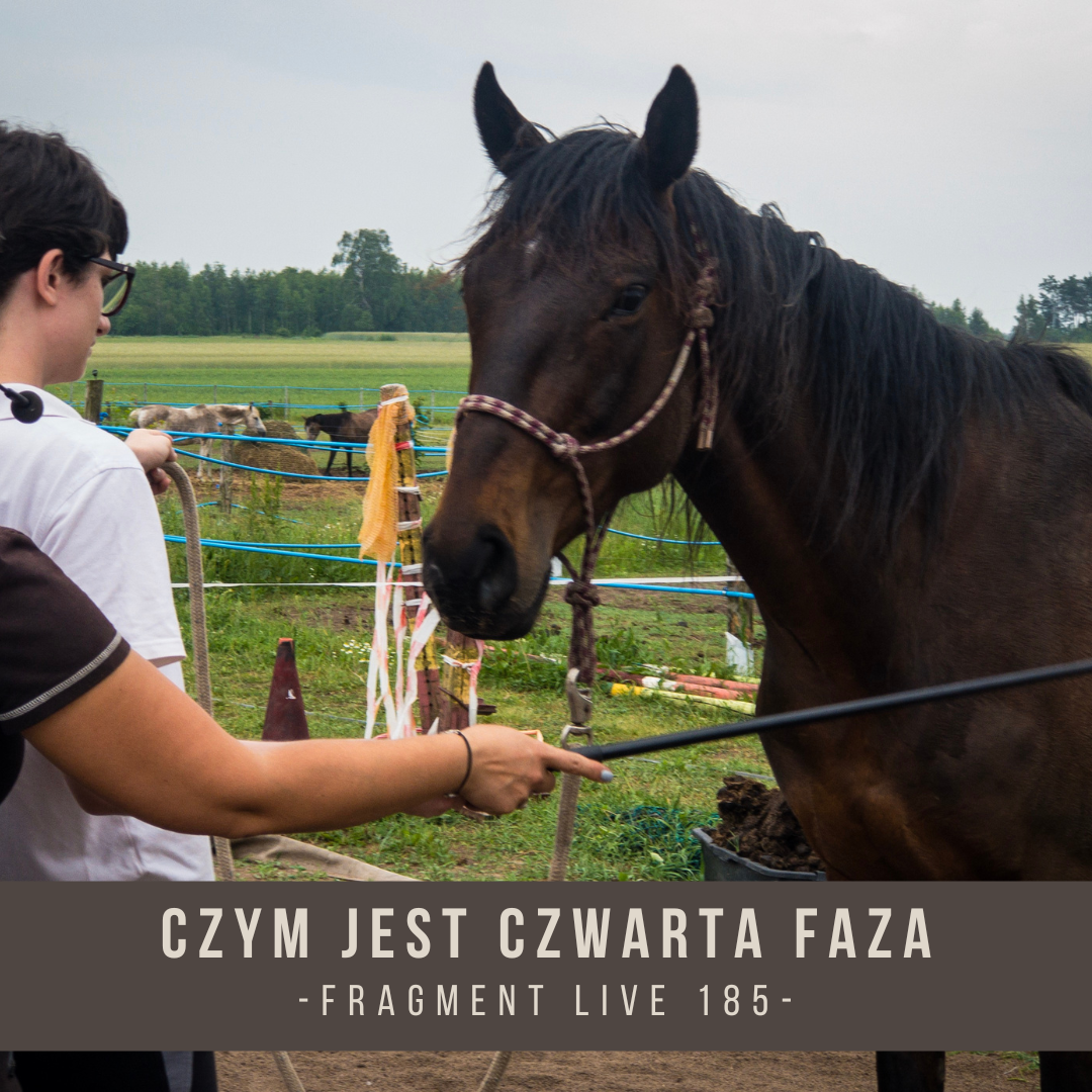 czym_jest_czwarta_faza_fragment_live_185
