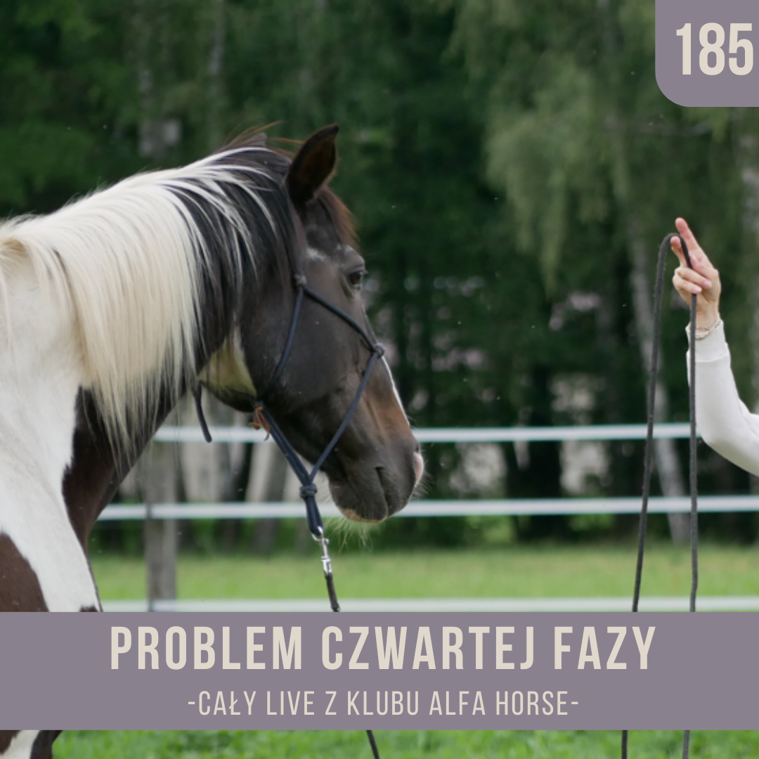 problem_czwartej_fazy_live_185