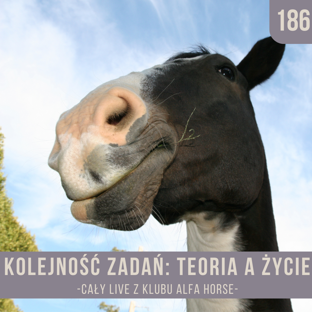 kolejnosc_zadan_teoria_a_zycie_live_186