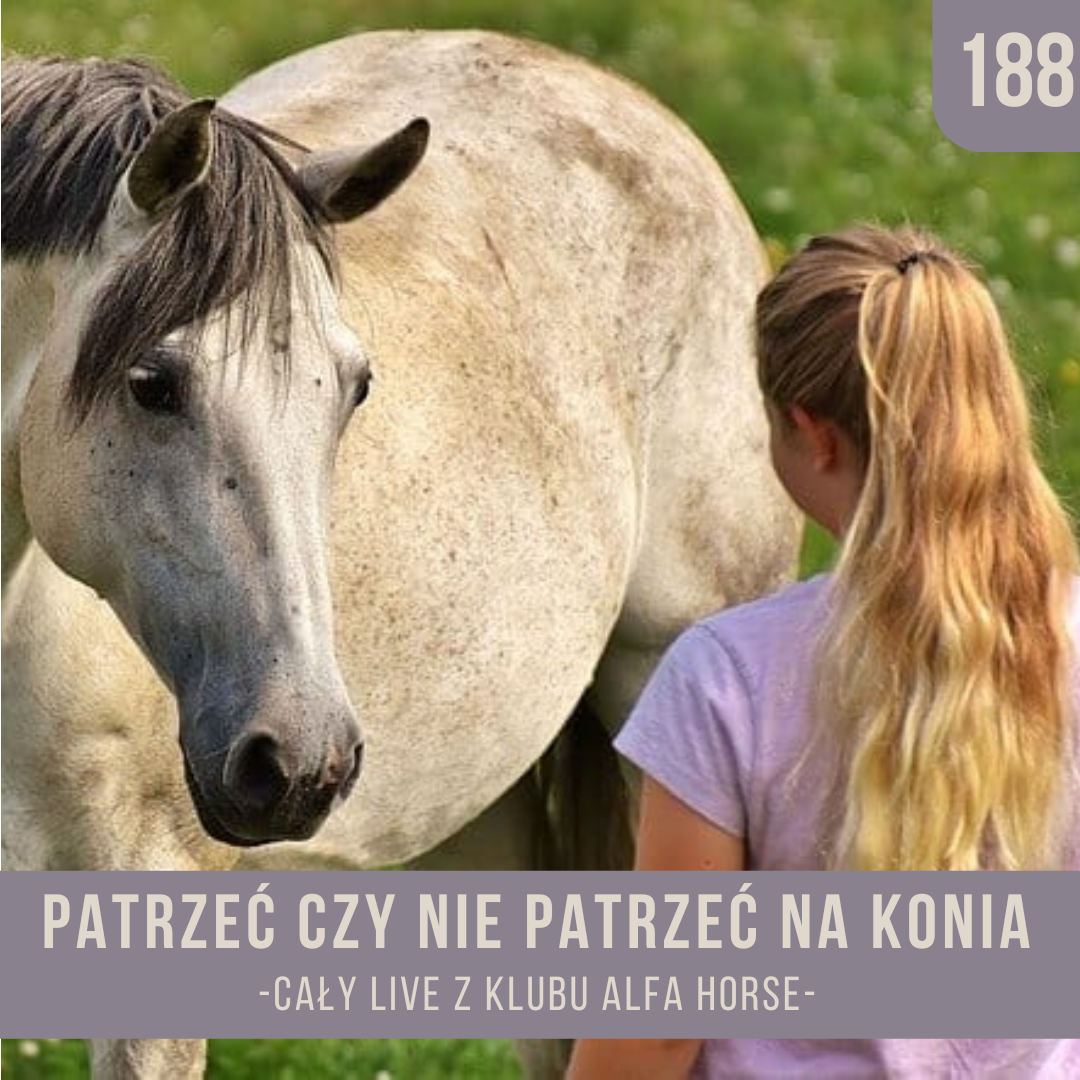 patrzec_czy_nie_patrzec_na_konia