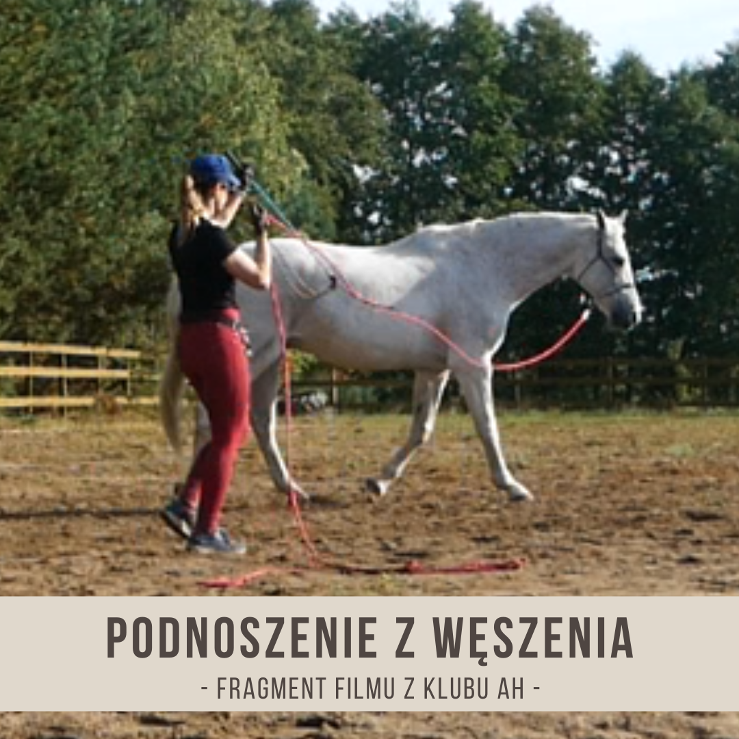 podnosze_ z_węszenia