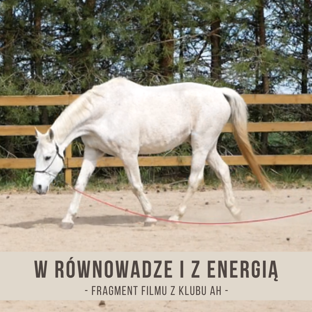 w_rownowadze_i_z_energia