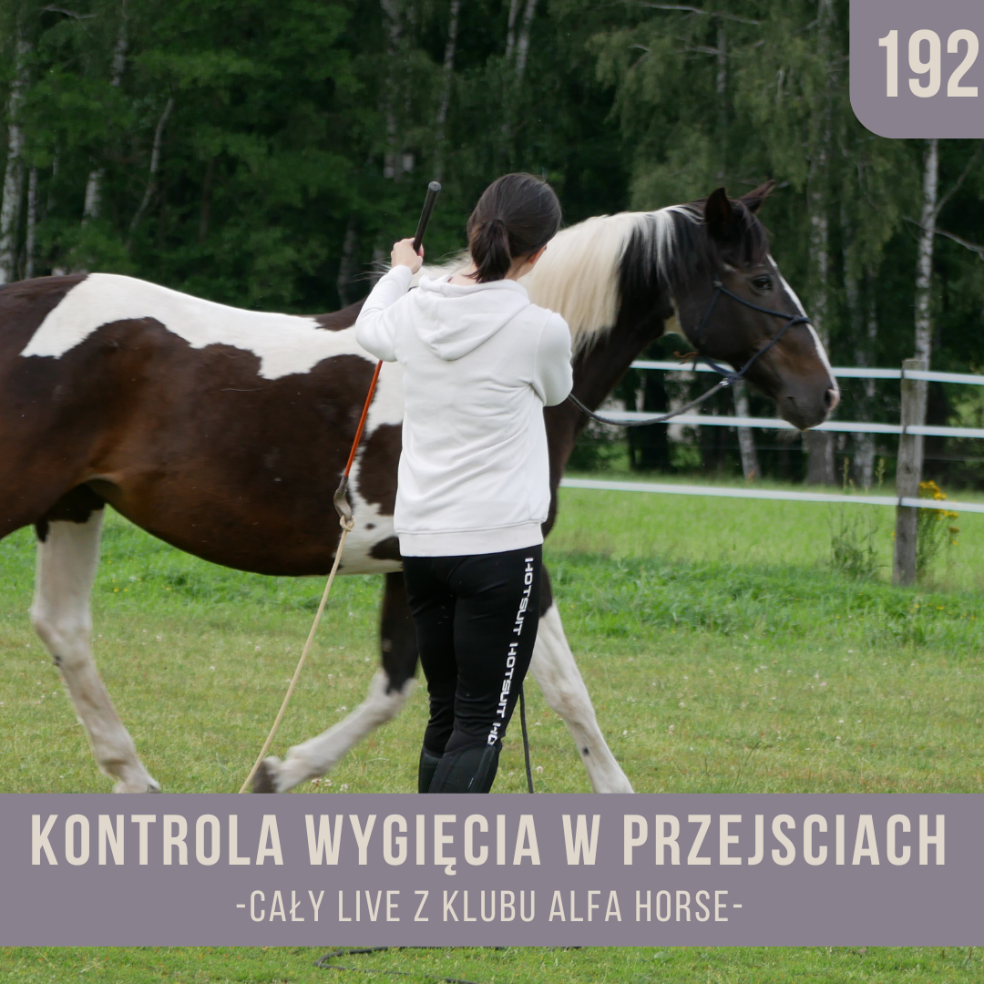 kontrola-wygiecia_w_przejsciach_live_192