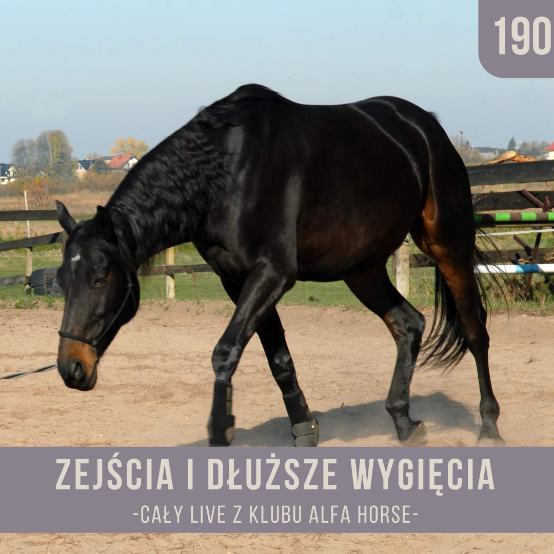 zejscia_i_dluzsze_wygiecia_live_190