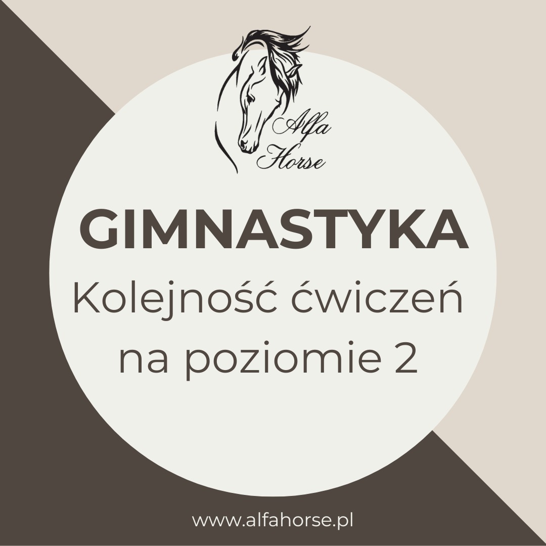 ser_gimnastyka_trening_koni_alfahorse