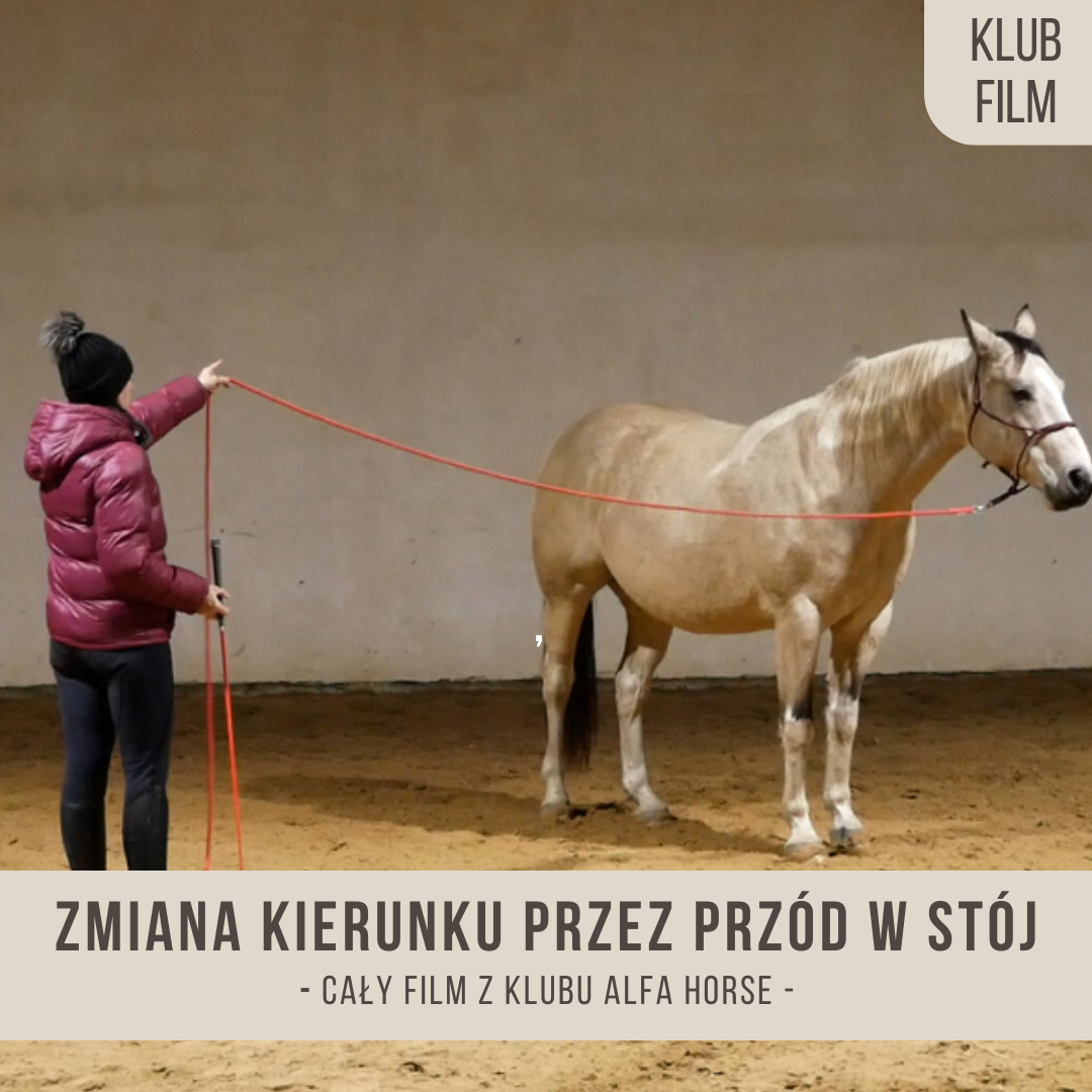 zmiana_kierunku_przez_przod_w_stoj_saracen