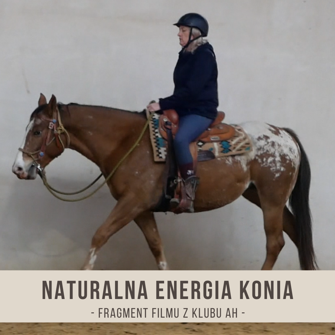 naturalna_energia_konia