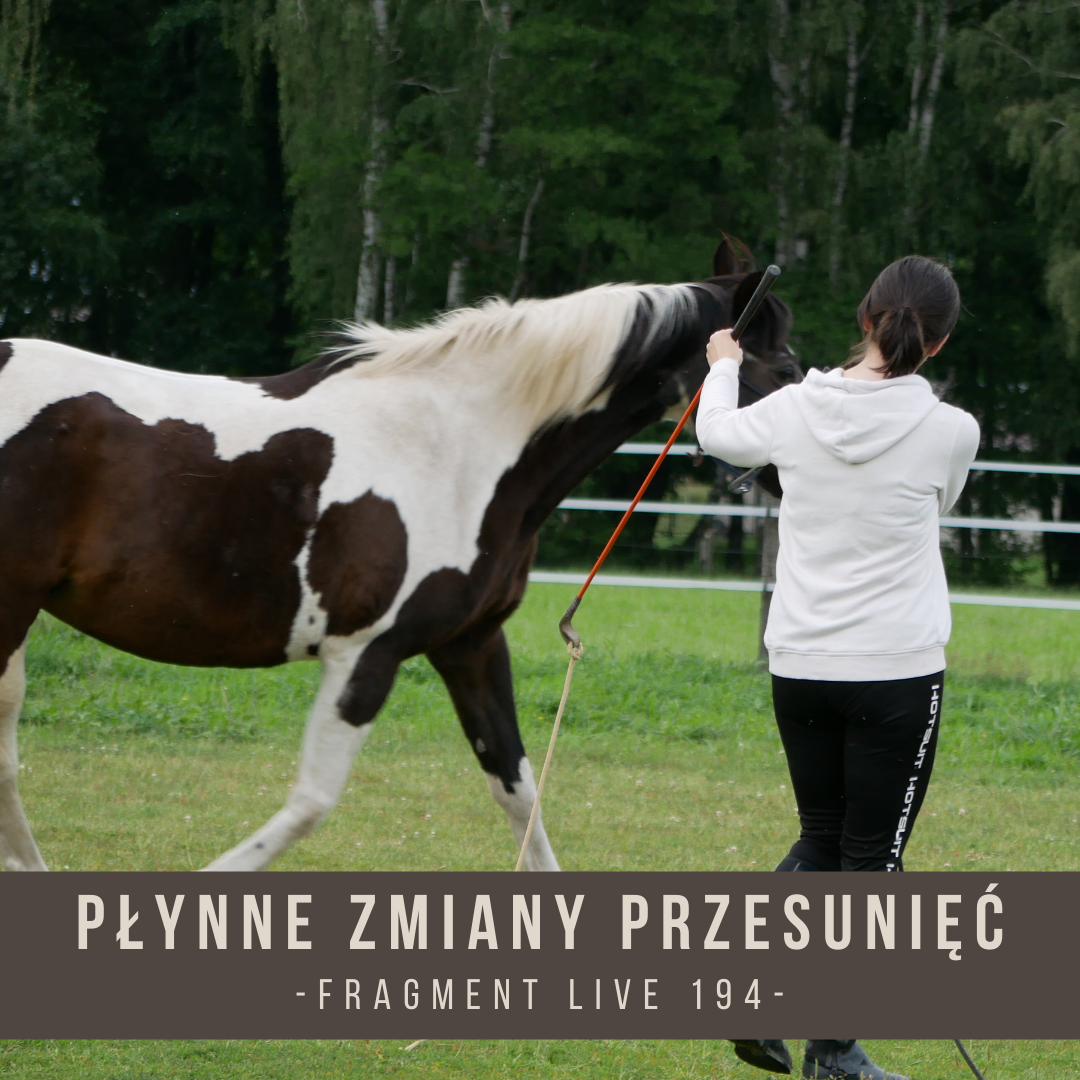 plynne_zmiany_przesuniec_fragment_live_194
