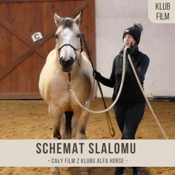 schemat_slalomu