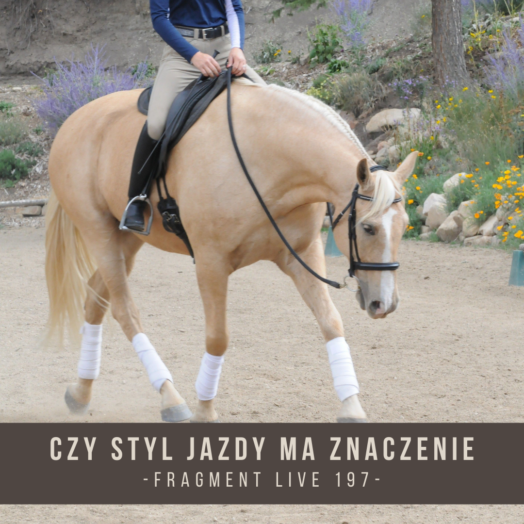 czy_styl_jazdy_ma_znaczenie_fragment_live_197