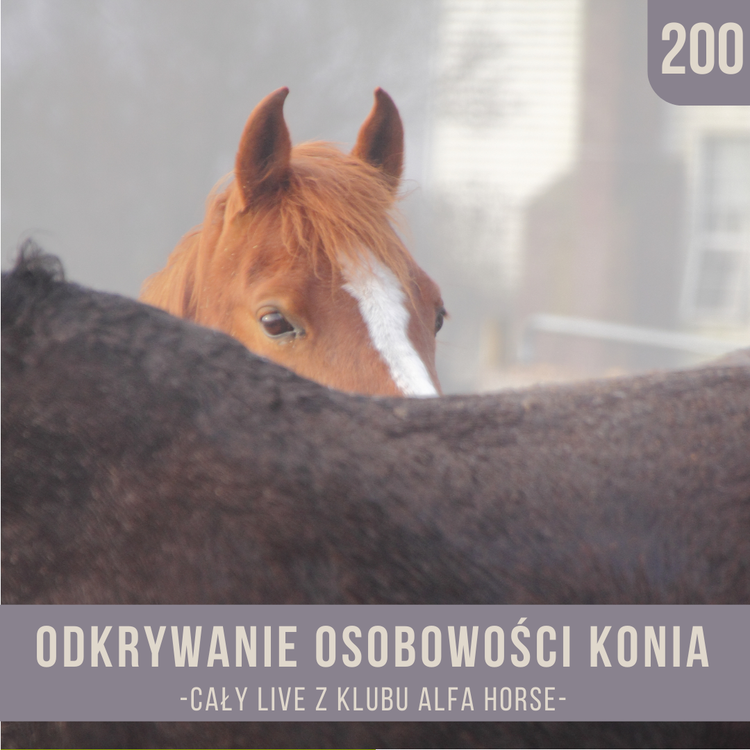 odkrywanie_osobowosci_konia_live_200