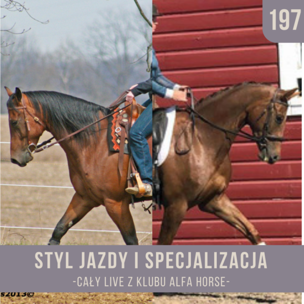 styl_jazdy_i_specjalizacja_live_197