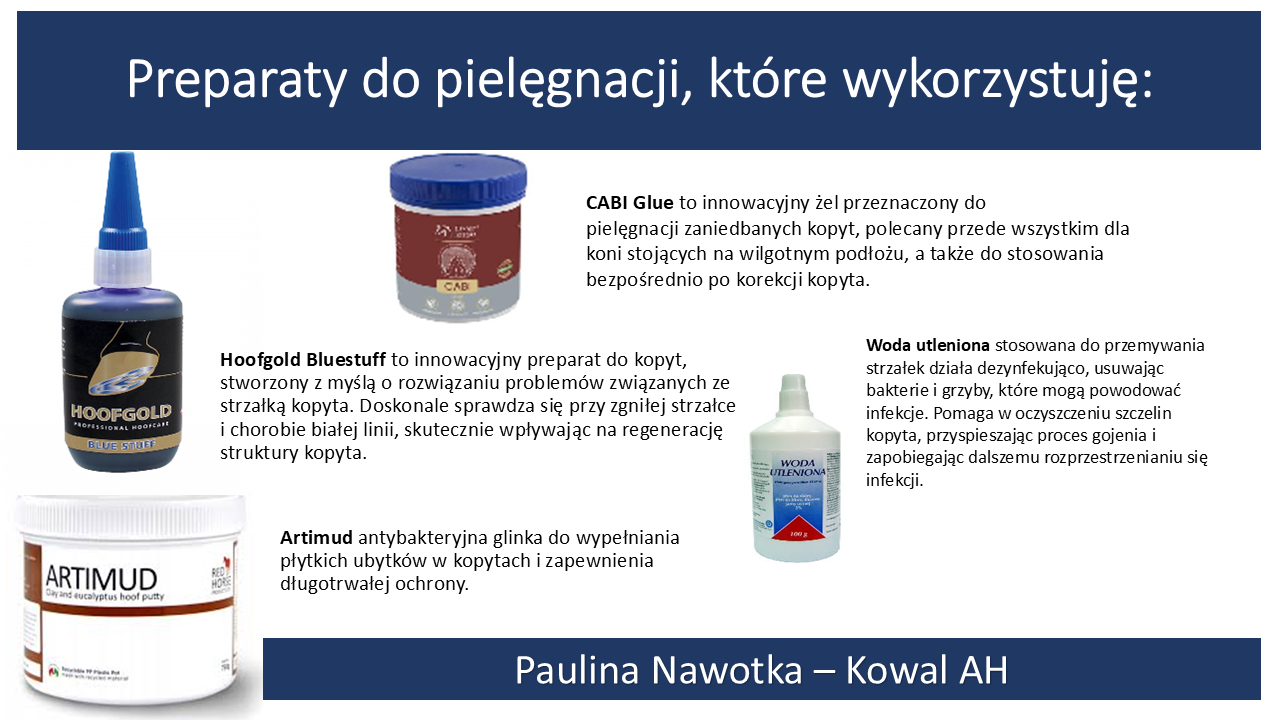 Preparaty na gnijącą strzałkę - Paulina Nawotka Kowal AH