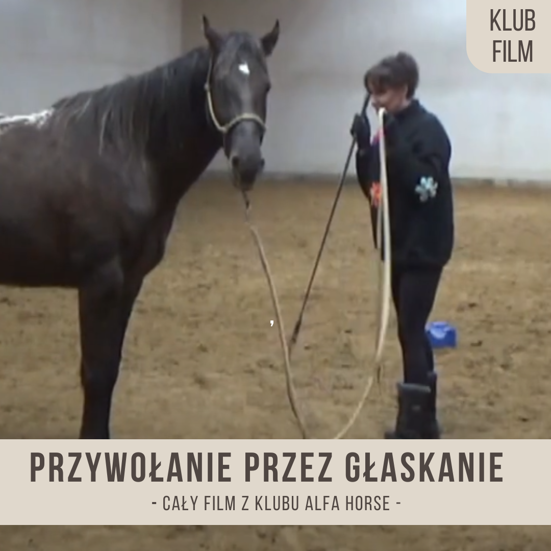 przywolanie_przez_glaskanie