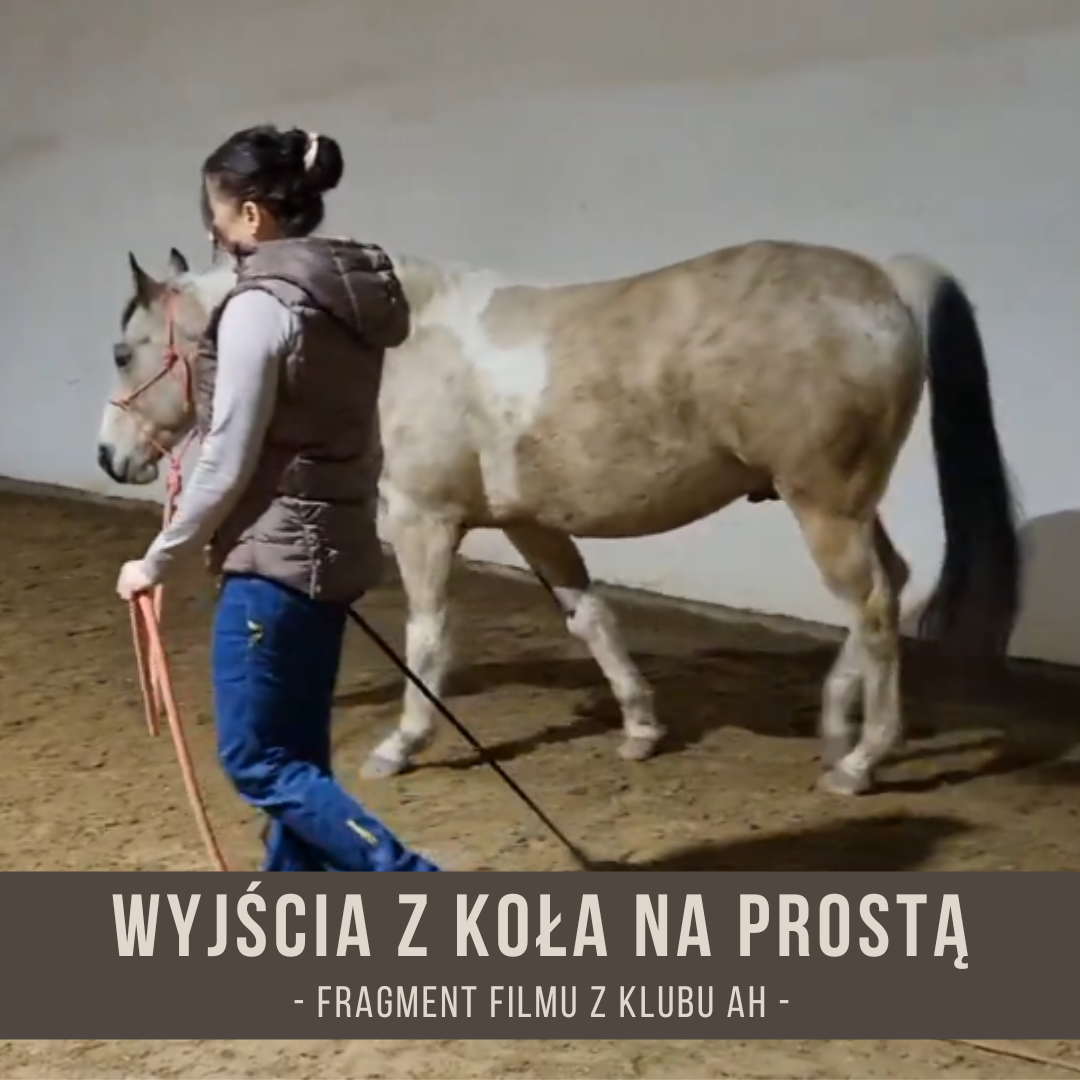 wyjscia_z_kola_na_prosta