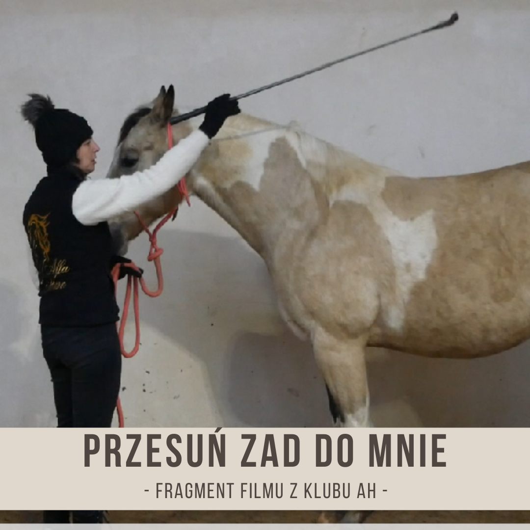 przesun_zad_do_mnie