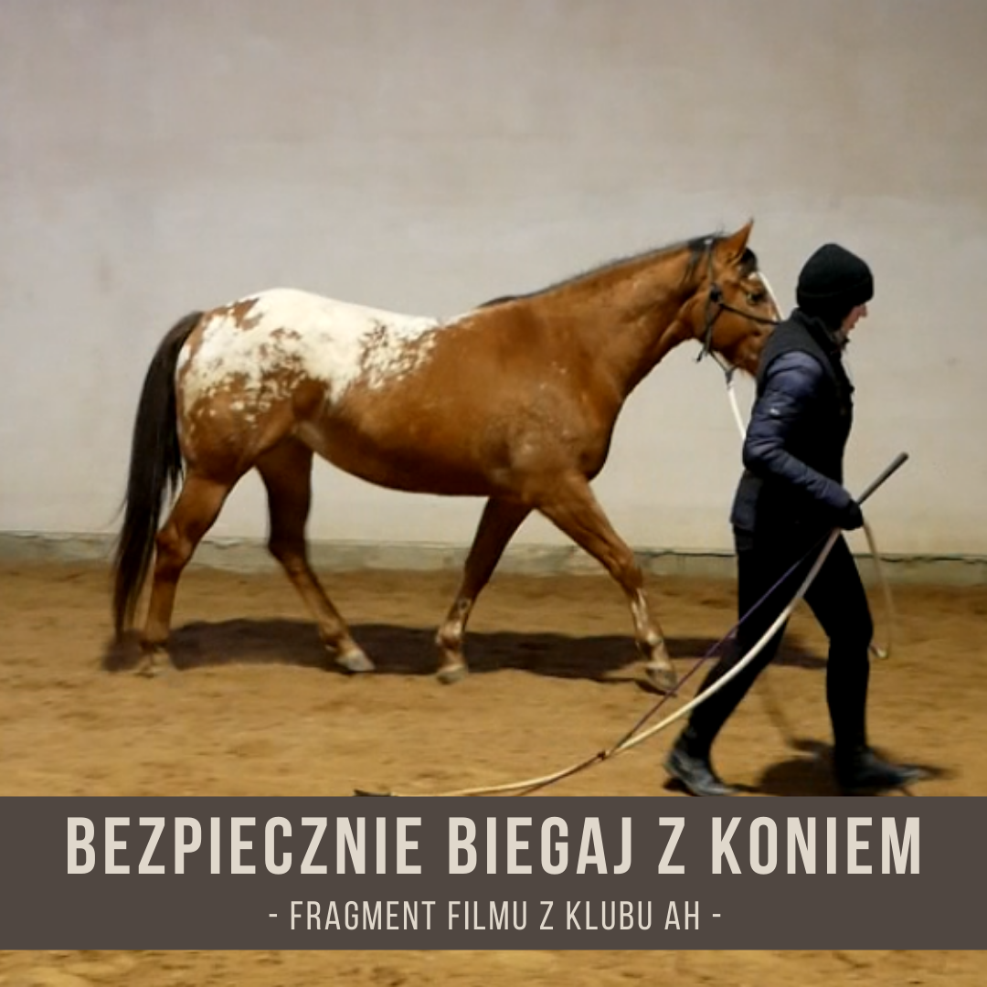 bezpiecznie_biegaj_z_koniem