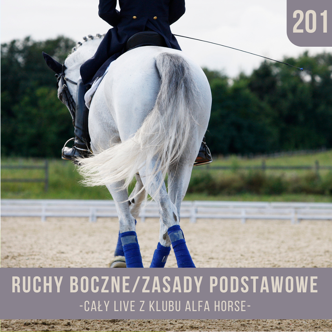 ruchy_boczne_zasady_podstawowe_live_201