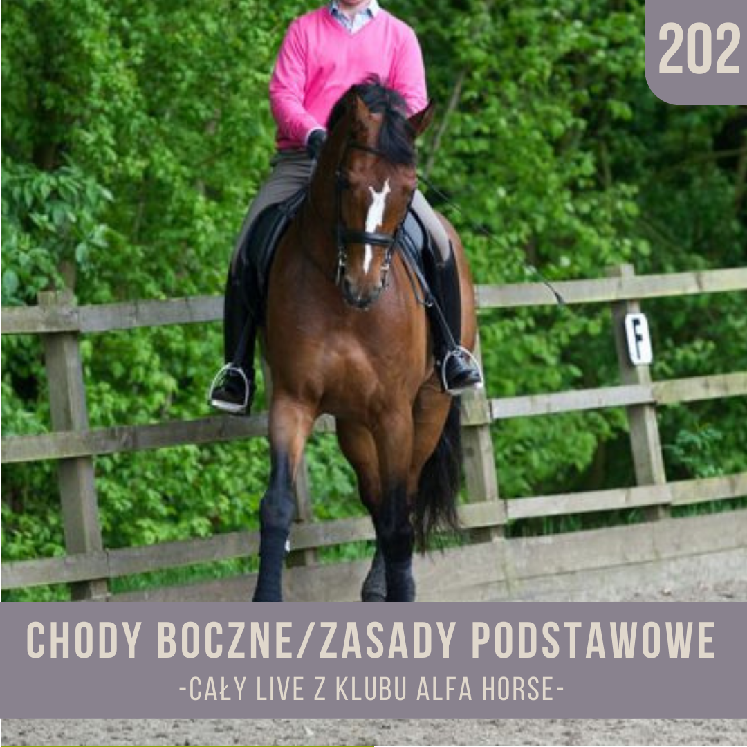 chody_boczne_zasady_podstawowe_live_202