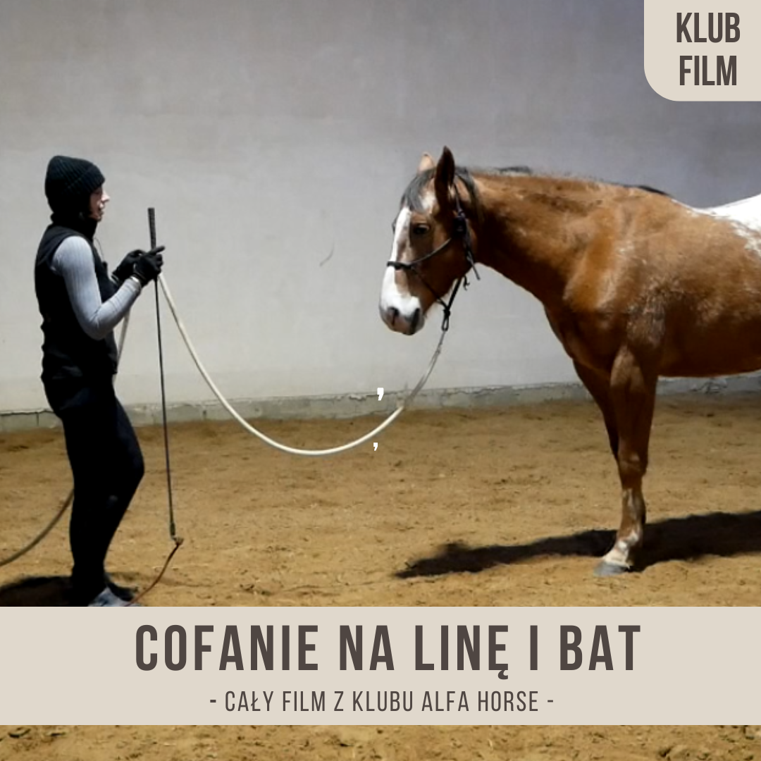 cofanie_na_line_bat_strefa_1