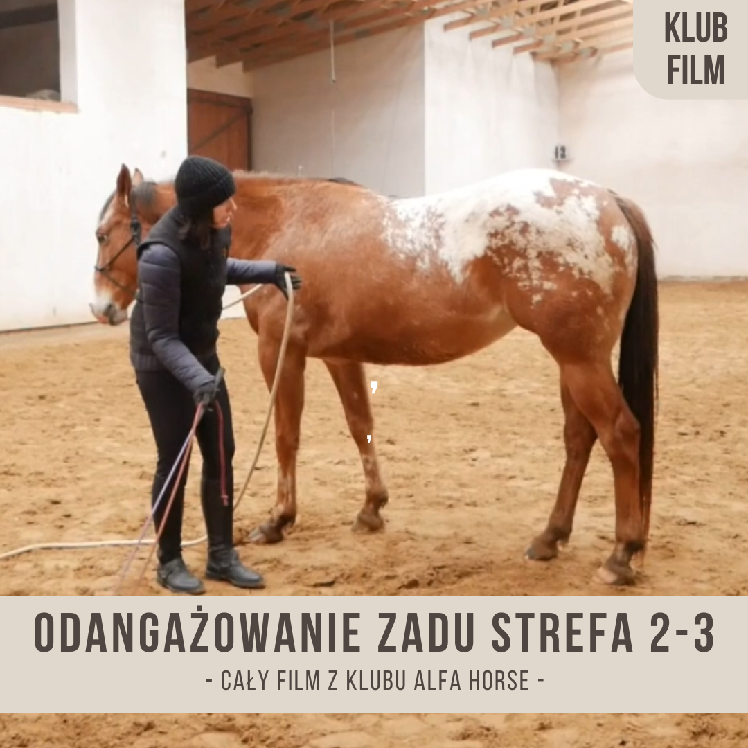 przesuniecie_odangazowanie_zadu_strefa_2_3