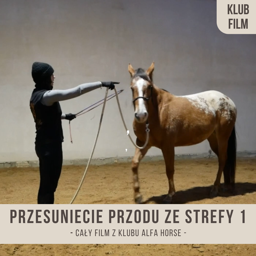przesunięcie_przodu_strefa_1