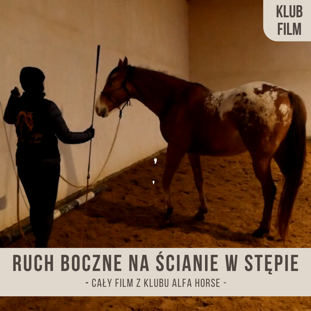 ruchy_boczne_na_scianie_w_stepie