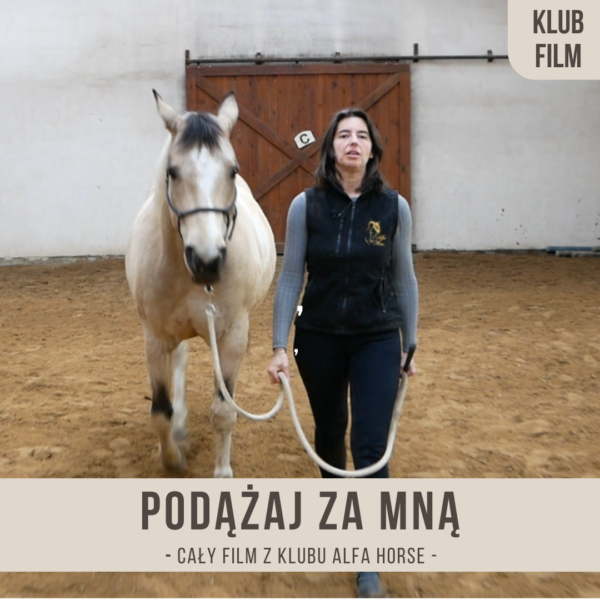 podazaj_za_mna_z_zbliska_w_stepie_saracen
