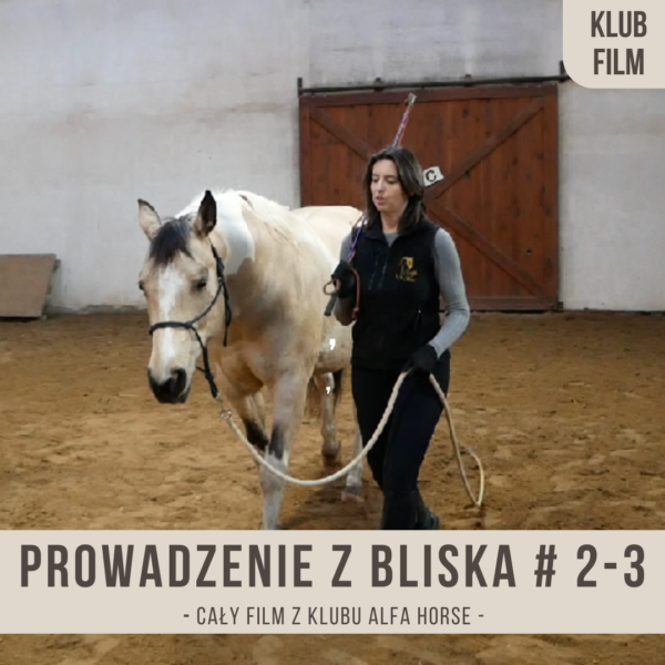prowadzenie_z_bliska_saracen