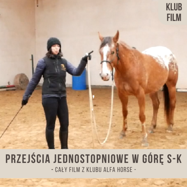 przejscia_jednostopniowe_w_gore_ste_klus_baby
