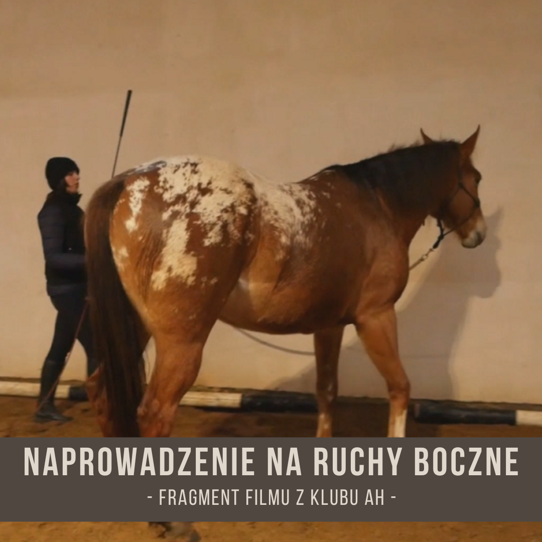 naprowadzenie_na_ruchy_boczne